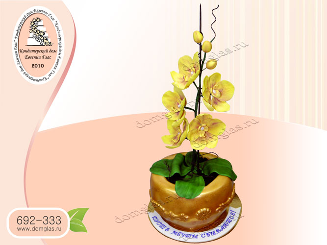торт женский цветок в горшке орхидея